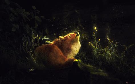 Fox in Enchanted Forest 4K wallpaper download