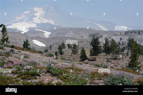 Mount Hood National Park under a smoky atmosphere, Oregon, United States Stock Photo - Alamy