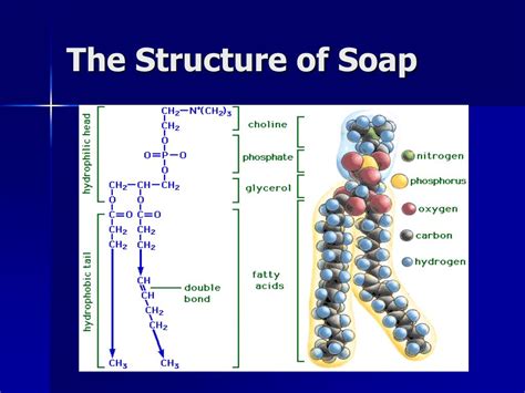 PPT - How Does Soap Work? PowerPoint Presentation, free download - ID:6534085