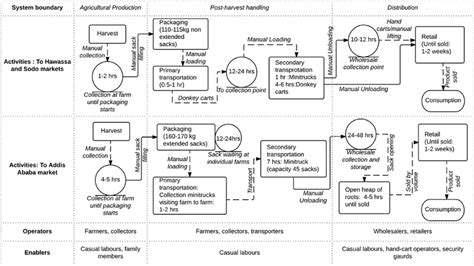 Post-harvest value-chain actors and activities in the study area ...