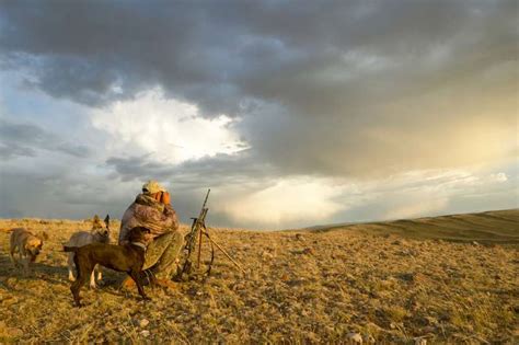 Coyote Hunting In Utah: Predator Control Program | Gun Reviews Handgun Testing Rifle Shotgun ...