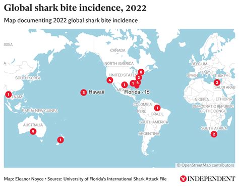 Egypt shark attacks: How rare is the deadly mauling…