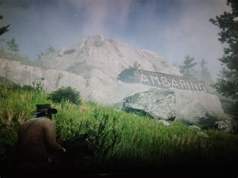 Is this a cheat code? : r/reddeadredemption