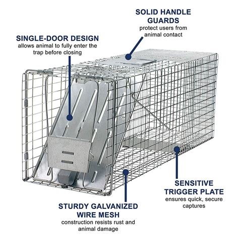 Best Raccoon Traps to Use Around Your Home | Trapper Journal