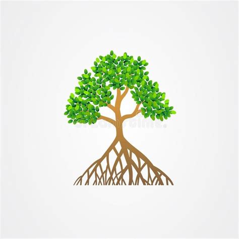 Mangrove tree with roots and green leaves vector illustration royalty free illustration | Leaves ...