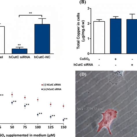 DNA fragmentation assay. Genomic DNA isolated from cells subjected to ...