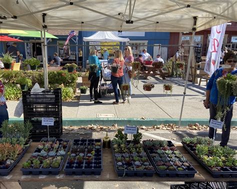 Poway Farmer's Market - Hungryones.com - Food Blog