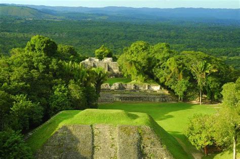 More of the Belize rainforest! | Belize vacations, Belize, Romantic ...