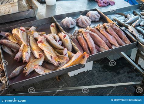 Fresh Seafood in the Market of Malta Island. Stock Image - Image of ...