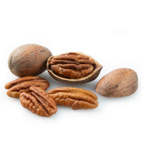 Pecans in Shell - Bulk Pecans in Shell • Oh! Nuts®