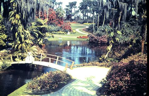 Florida Cypress Garden lagoon | Cypress gardens, Old florida, Beach town