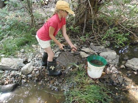 California Gold Panning (Jamestown) - All You Need to Know BEFORE You Go