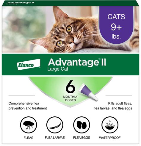 Advantage II Flea Treatment for Large Cats Over 9 lbs, 6 treatments - Chewy.com