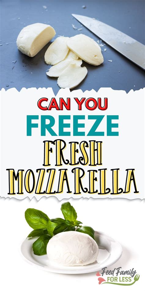 Pin on Freezing Food ideas