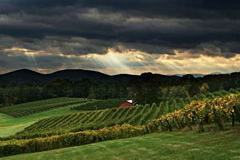 Top 8 Wine Tours In North Georgia - Updated 2024 | Trip101