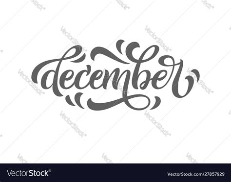 December lettering typography inspirational quote Vector Image