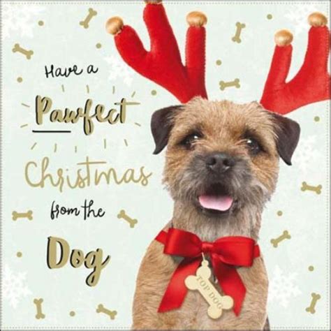 From The Dog Christmas Greeting Card | Christmas dog, Christmas animals ...