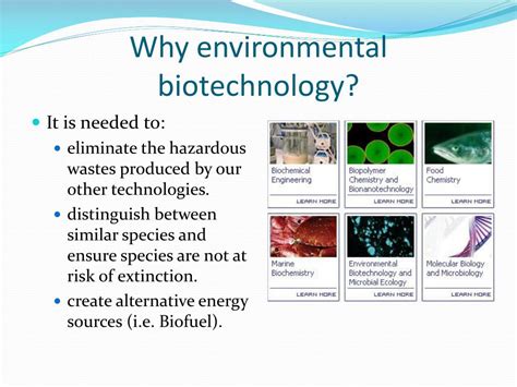 PPT - Environmental Biotechnology PowerPoint Presentation, free download - ID:1605786