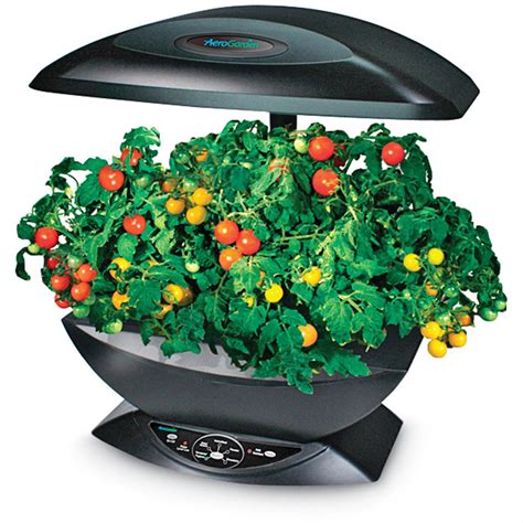 2 Pk. Aerogarden™ Cherry Tomato Seed Kit - 120414, Accessories at Sportsman's Guide