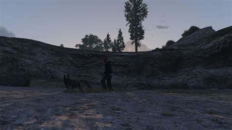 Guy Follows A Dog In GTA V And You Won't Believe What Happened To Them ...