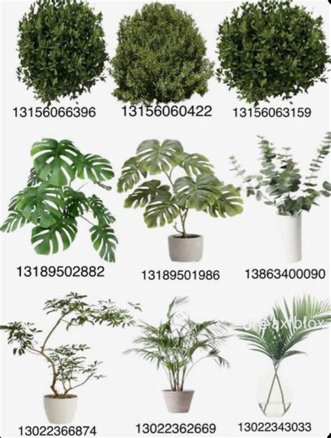 Plant Decal Codes in 2024 | House decals, Bloxburg beach house, Diy ...