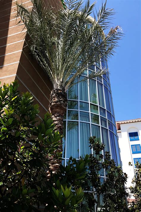 Review of Holiday Inn Express & Suites in Anaheim Resort Area Near Disneyland — All for the Boys