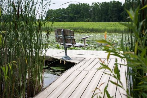 Dock on a Tranquil Pond stock photo. Image of tranquil - 14679218