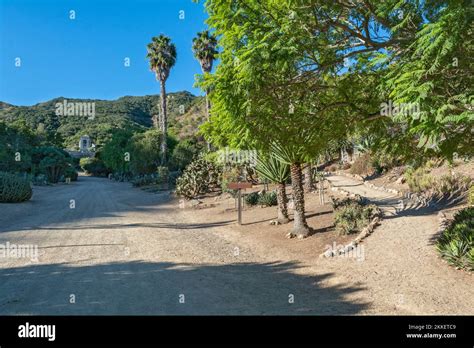 California, Catalina Island, Wrigley Memorial & Botanical Gardens Stock Photo - Alamy