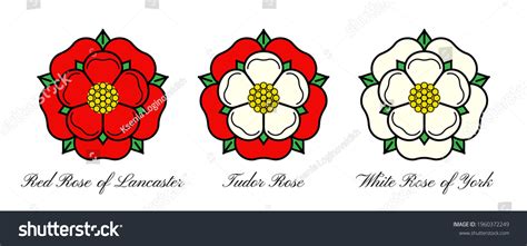 Best English Rose Emblem Royalty-Free Images, Stock Photos & Pictures ...