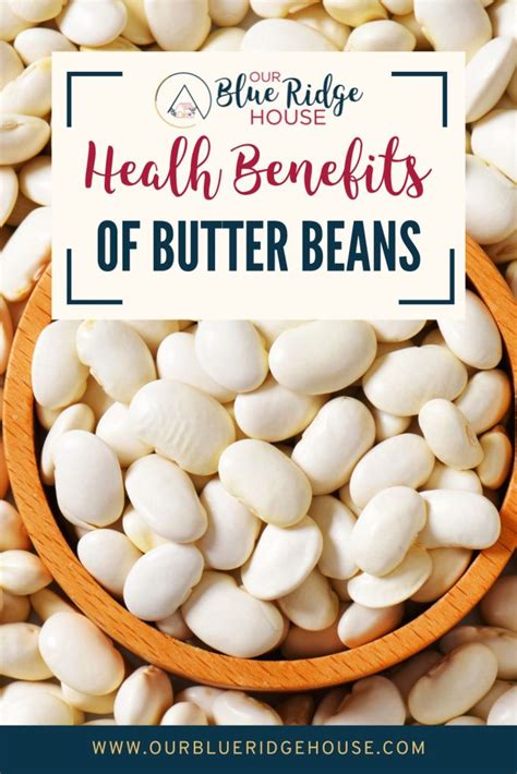 Health Benefits of Butter Beans | The Good Nutrition Facts - Our Blue ...