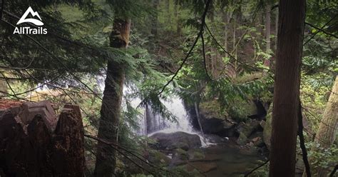 Best hikes and trails in Whatcom Falls Park | AllTrails