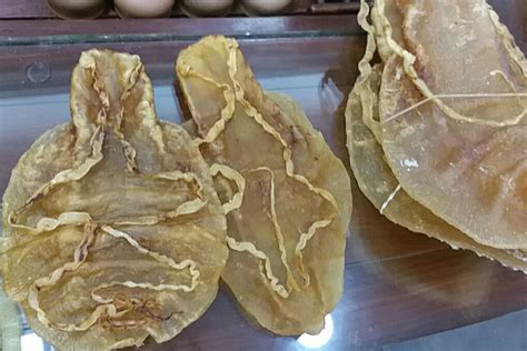 China nets 11 people for smuggling US$119 million worth of rare totoaba fish for traditional ...