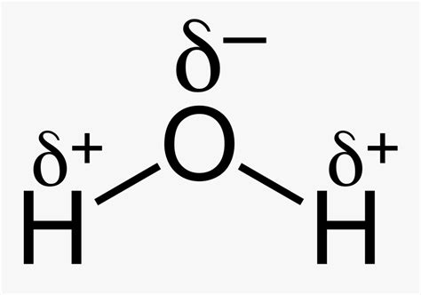 H2o Chemical Bond - Structure Of Water With Partial Charges , Free Transparent Clipart - ClipartKey