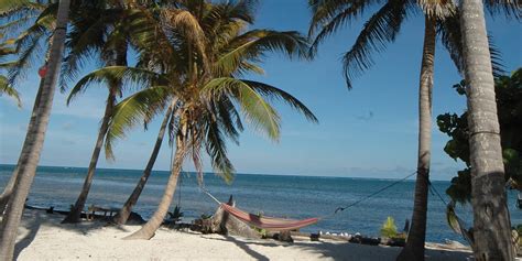 Rainforest & Reef of Belize | Contours Travel | Experts in tailor-made ...