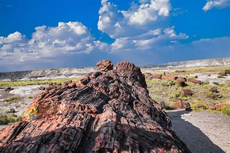 The Ultimate Guide to Visiting Petrified Forest - A Couple Days Travel