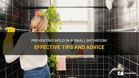 Preventing Mold In A Small Bathroom: Effective Tips And Advice ...