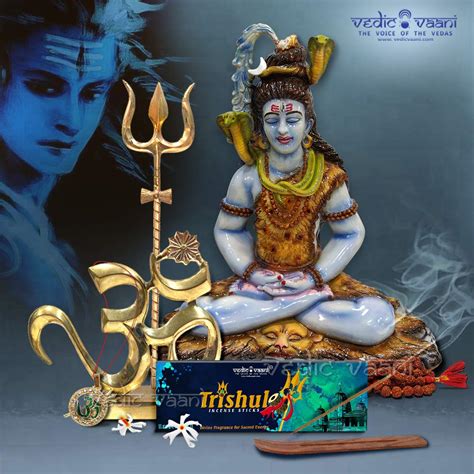 Buy Vedic Vaani Divine Lord Shiva Shankar Bhole Nath Idol, Statue ...