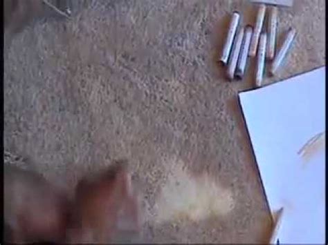 "Carpet Dye Sticks" Instructional Video! - YouTube