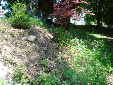 Need help with slope erosion (permaculture forum at permies)