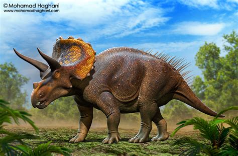 ArtStation - Triceratops horridus