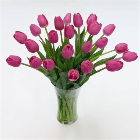 Pink Tulips: Fresh Flowers: Tulips.com