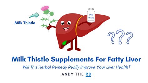 Milk Thistle For Fatty Liver - Does It Help? - Andy The RD