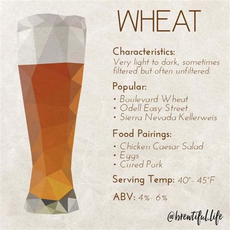 Food infographic - Wheat Beer characteristics, food pairings, popular ...