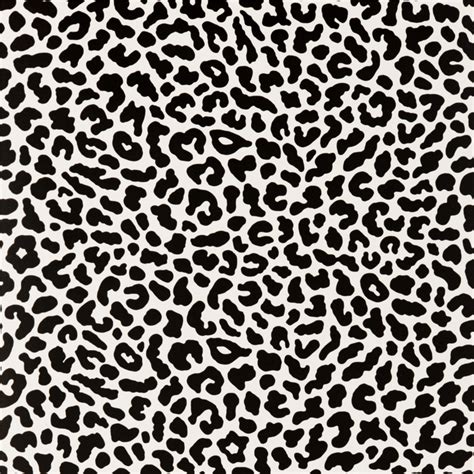 W0043-01-clarke-and-clarke-floribunda-collection-leopold-animal-print-leopard-wallpaper ...