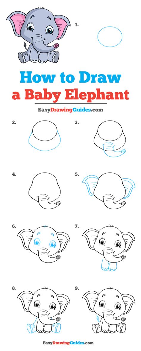 How to Draw a Elephant Step by Step Video - Haggerty Procce