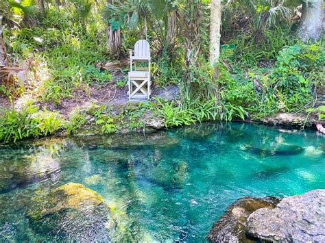 Tips For Kelly Park/Rock Springs: The Perfect Florida Oasis - Florida ...