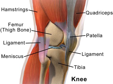 Knee pain - Wikipedia