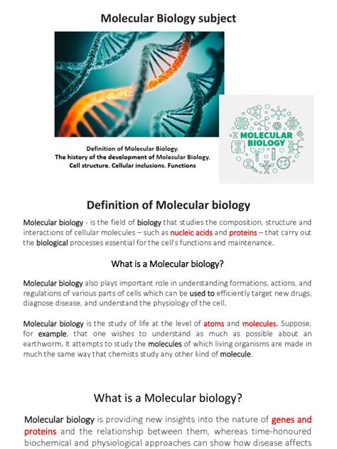 Molecular Biology - Cell Structure | PDF | Endoplasmic Reticulum | Chloroplast