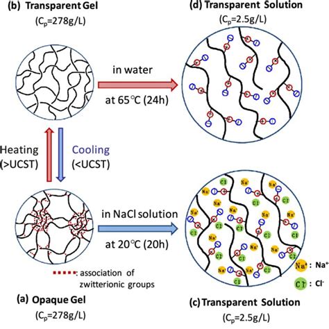 Polymer yield (Y p ) and gel fraction (F gel ) of poly(DMAAPS) as a... | Download Scientific Diagram