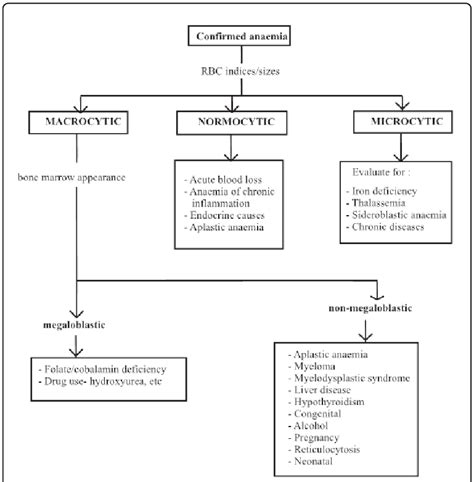 Aetio-morphological classification of anaemia. | Download Scientific ...